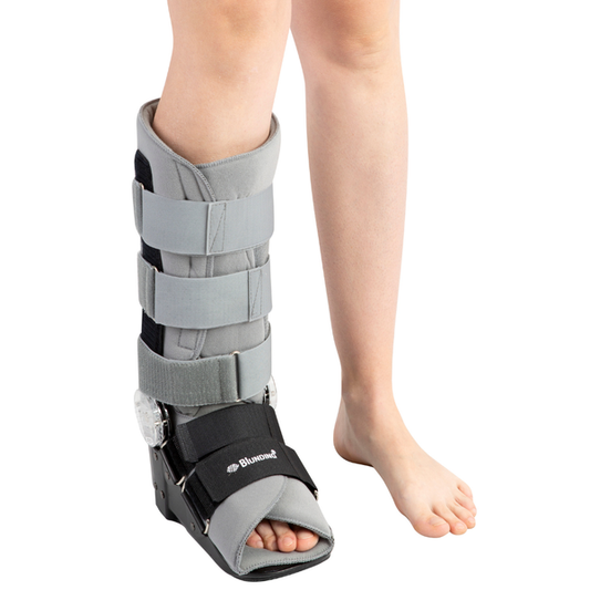 Bota ROM